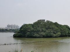 -海珠湖公园
