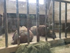 -石家庄市动物园