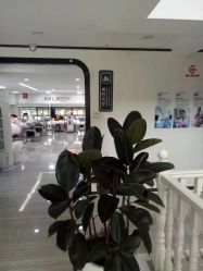 -痘博士昆明·国际祛痘领跑品牌