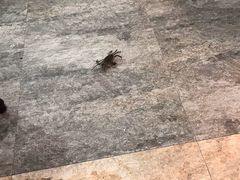 -名羊天下·火锅烧烤自助料理(镇明路店)