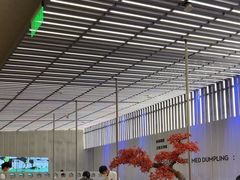 -苏小柳点心·手作小笼包(浦东嘉里城分院)