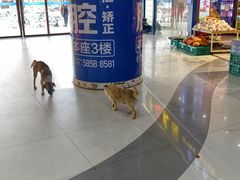 -恒生商业广场(上丰店)