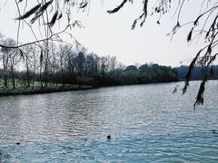 -上海海湾国家森林公园