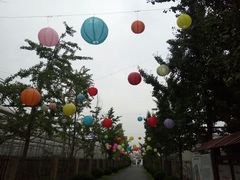 -菊园百果园