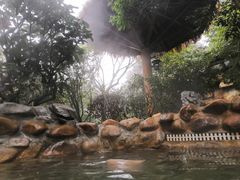 -深业半汤御泉庄温泉