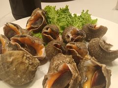 -紫丁香饭店-中餐厅