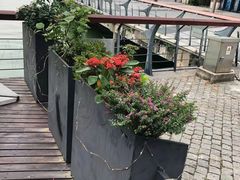 -岁粤Moon·湖景餐厅(月光码头店)