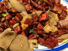 -福苗小骆驼烧烤(大唐不夜城店)