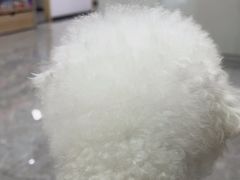 -艾贝尔宠物医院·宠保定点·超声绝育·免疫点(樱花路店)