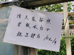 -前小桔亲子创意农场·草莓采摘·露营烧烤