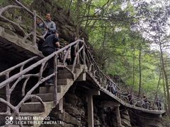 -藏龙百瀑风景区