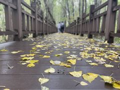 -百里山水画廊