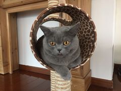 -Catmate·猫肥家润(金润铂宫店)