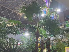 -吕氏疙瘩汤·海鲜新鲁菜(凯德mall新都心店)