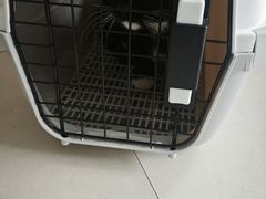 -瑞鹏宠物医院·内科·中兽医·骨科(苗圃店)