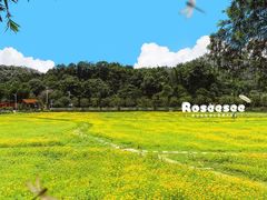 -红山村