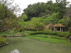 -火炉山森林公园