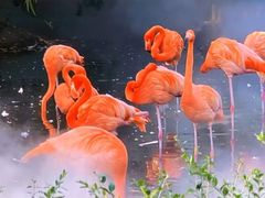 -石家庄市动物园