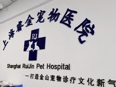 -睿金宠物医院·CT·肿瘤·骨外科