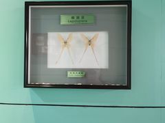 -上海昆虫博物馆