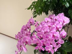 -杭州大厦购物城