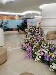 点击看大图 -广州美莱医疗美容医院