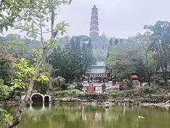 -榴花公园