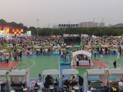 -羊山湖公园