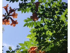 -坝河休闲公园