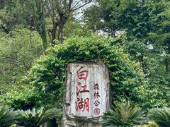 -广州白江湖森林公园