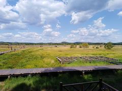 -塞罕坝国家级自然保护区