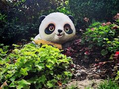 -西安电影制片厂