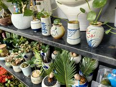 -溪岸路花鸟市场