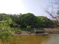 -广州市帽峰山景区