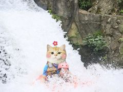 -将军关探险漂流