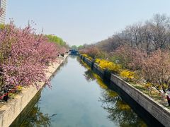 -元大都城垣遗址公园