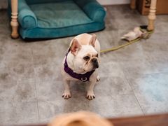 -富贵面包公司(运河店)