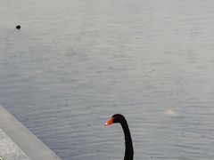 -江南大学(蠡湖校区)