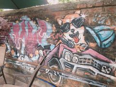 -柴犬高等学院·狗咖·柴犬售卖·宠物训练