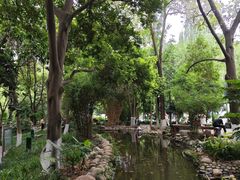 -成都市活水公园