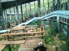 -大连森林动物园