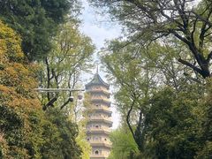 -灵谷景区