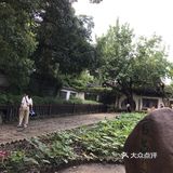 故乡