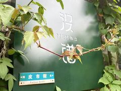 -皮市街
