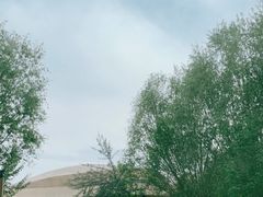 -敦煌莫高窟数字展示中心