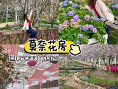 -盈香心动乐园