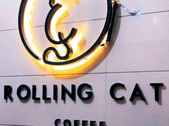-滚猫咖啡·猫咖·猫友好撸猫(未来城店)
