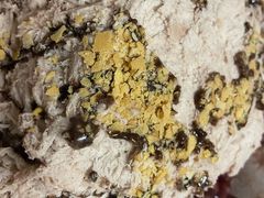 -冰冰酱老味刨冰绵绵冰(爱国道店)