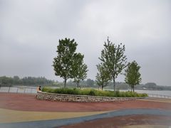 -东郊湿地公园