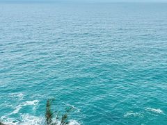 -广东惠东海龟国家级自然保护区